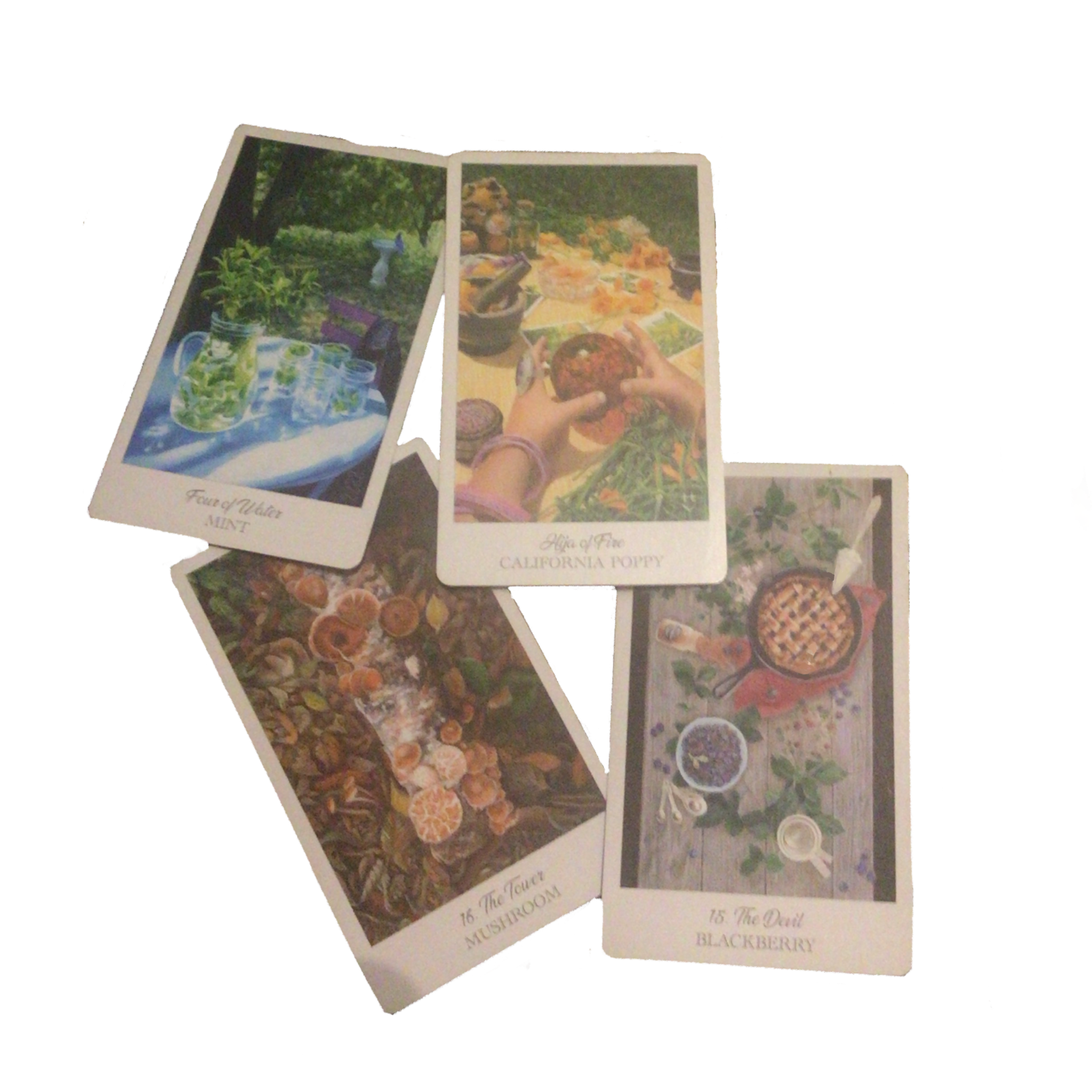 cards from herbcrafters tarot