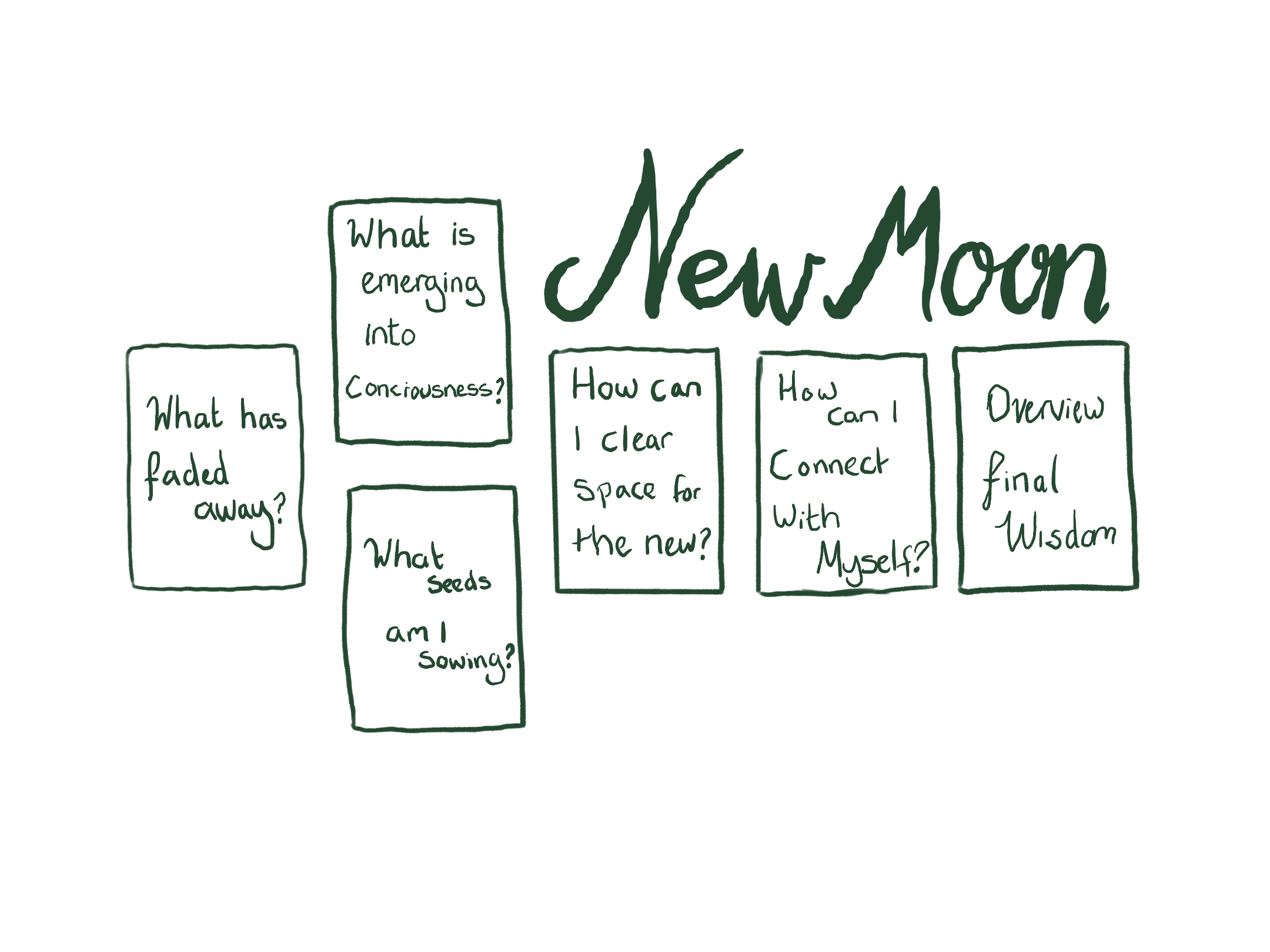 New moon spread lay out.